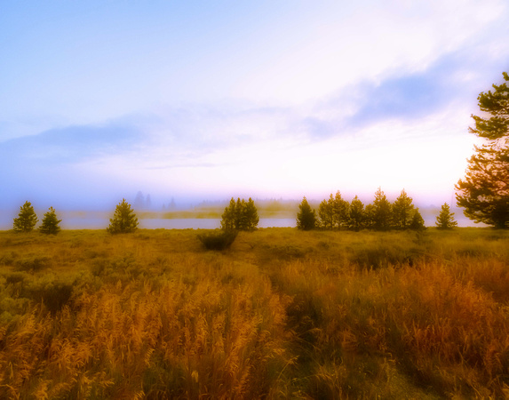 Yellowstone Morning light