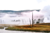 Morning Fog & Geyser Steam