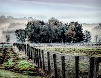 Fence & Fog