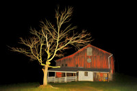 Barn Tree at Night      (Central Pennsylvania)